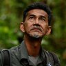 Hutan-worker-looks-up-at-jungle