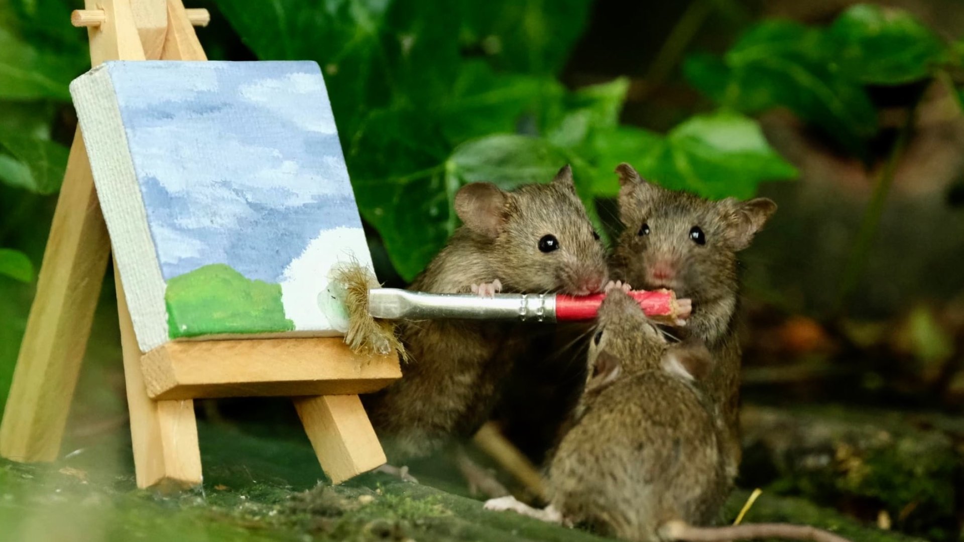 Mouse Friend In House Grandad becomes friends with the mice in his garden and builds them ...