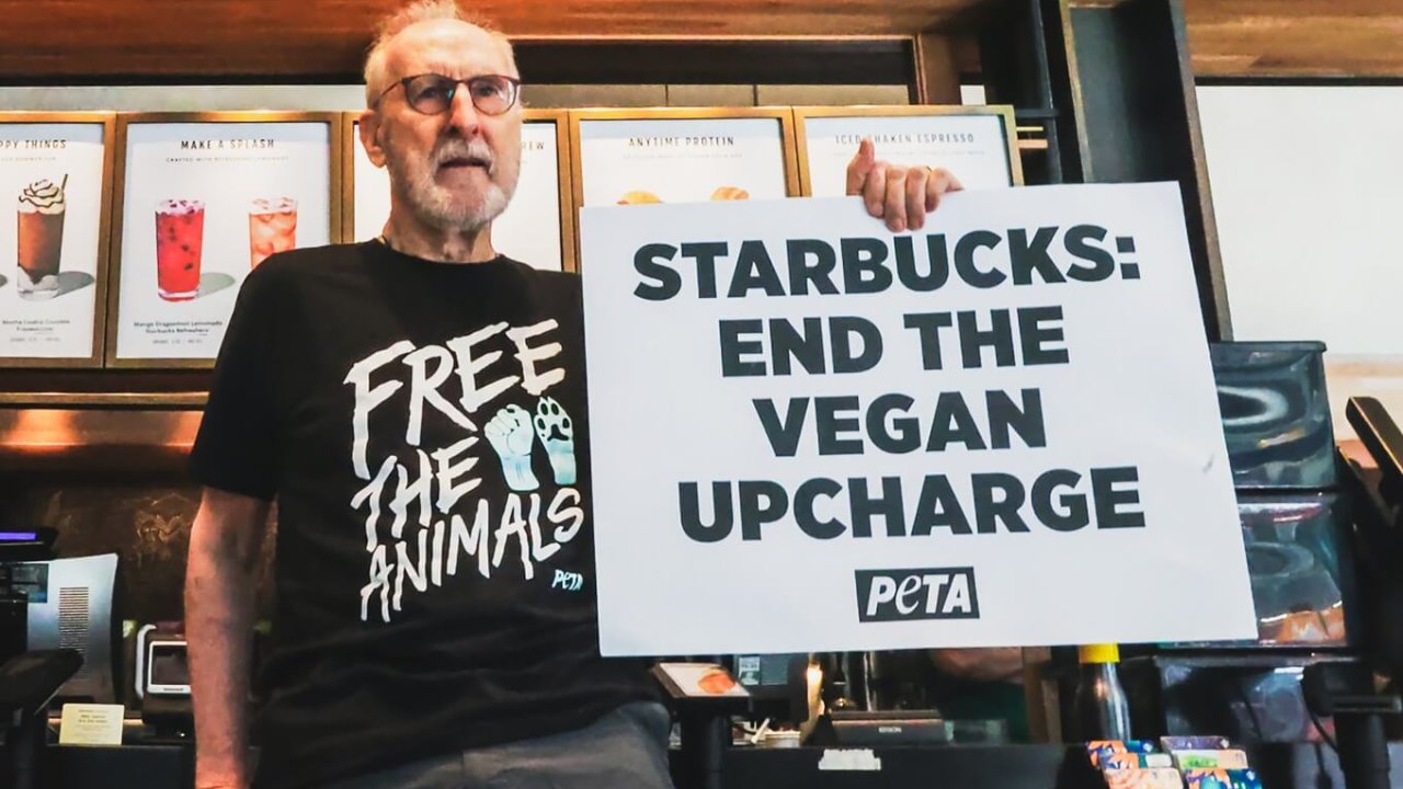 James Cromwell protesting