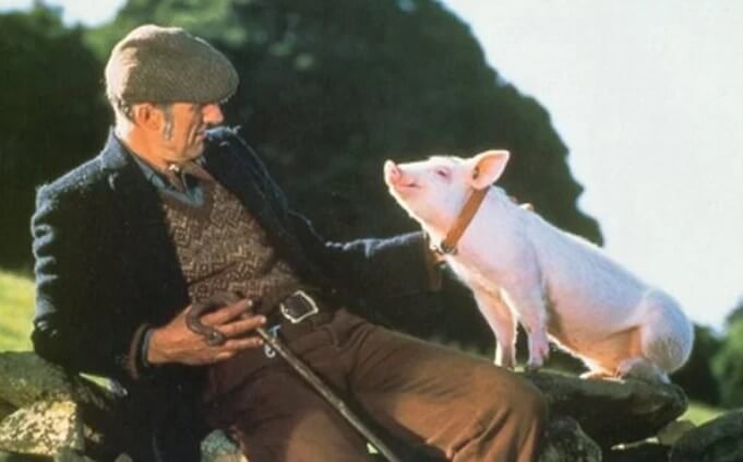Actor James Cromwell Rescues Pig to Highlight Animal Rights