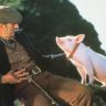 James Cromwell Rescate de adopción de cerdos