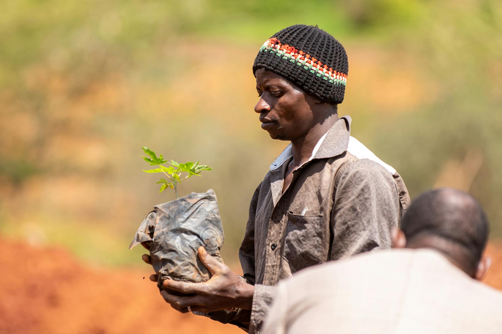 Kenya's Greener Future with 100 Million Tree Planting Holiday