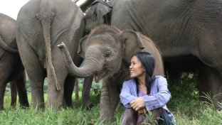 One woman&#8217;s dream to end elephant suffering grew into a nature park where the animals roam free
