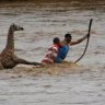 Kenyan park rangers rescue baby giraffe from crocodile infested river
