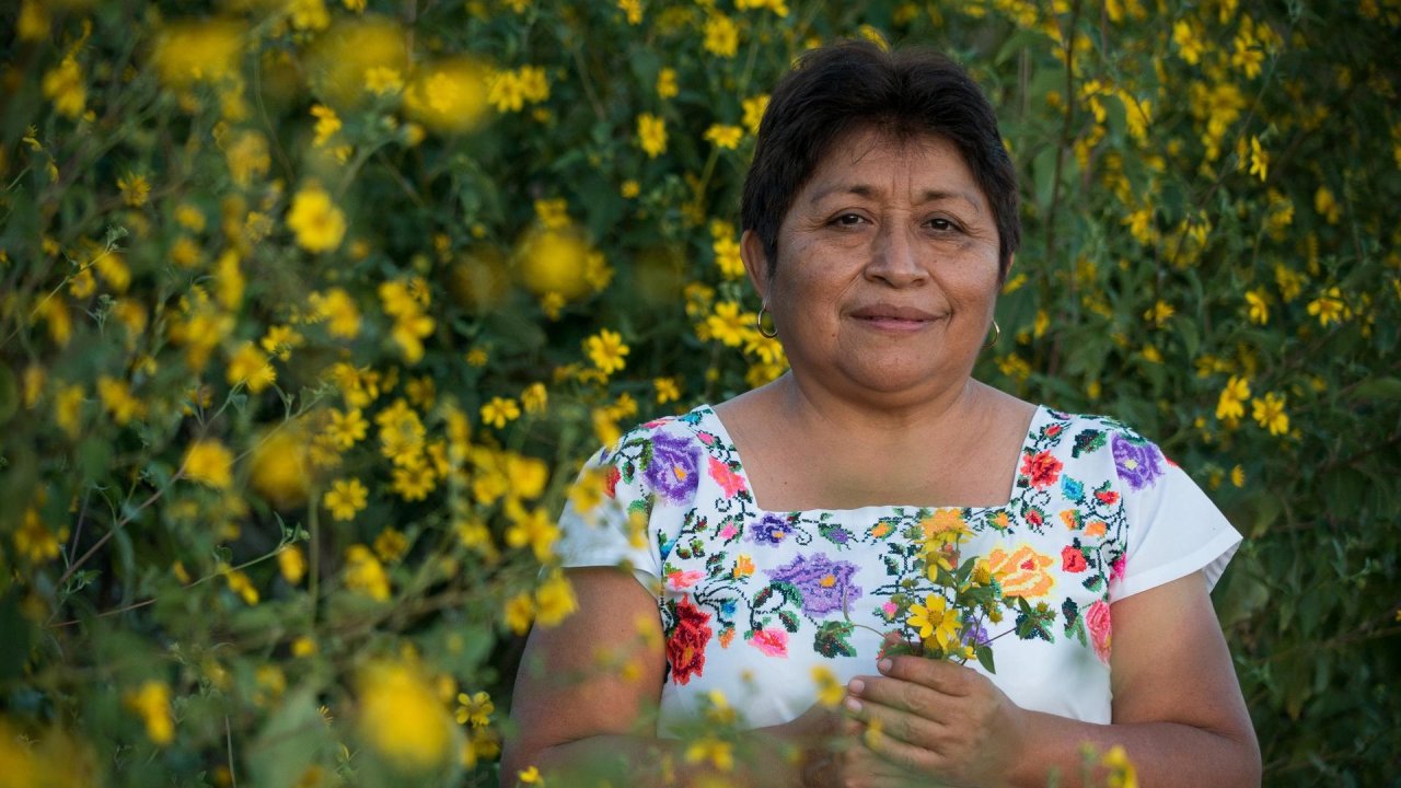 Meet the Mayan beekeeper who beat Monsanto