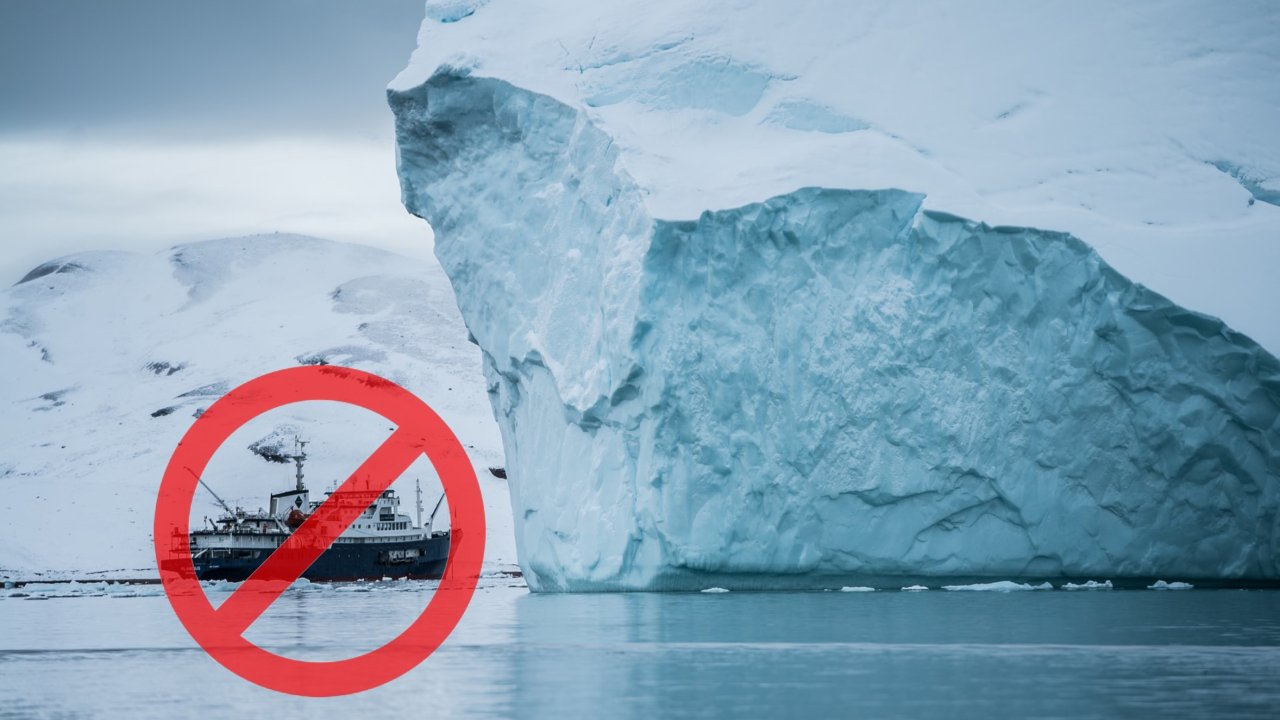 Commercial fishing now banned in central Arctic Ocean