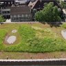 How one Swiss city made green roofs a legal requirement in bid to tackle climate change