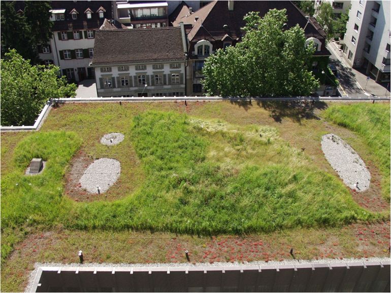 In 2002, an amendment to the City of Basel’s Building and Construction Law was passed. It reads that all new and renovated flat roofs must be greened and also stipulates associated design guidelines.