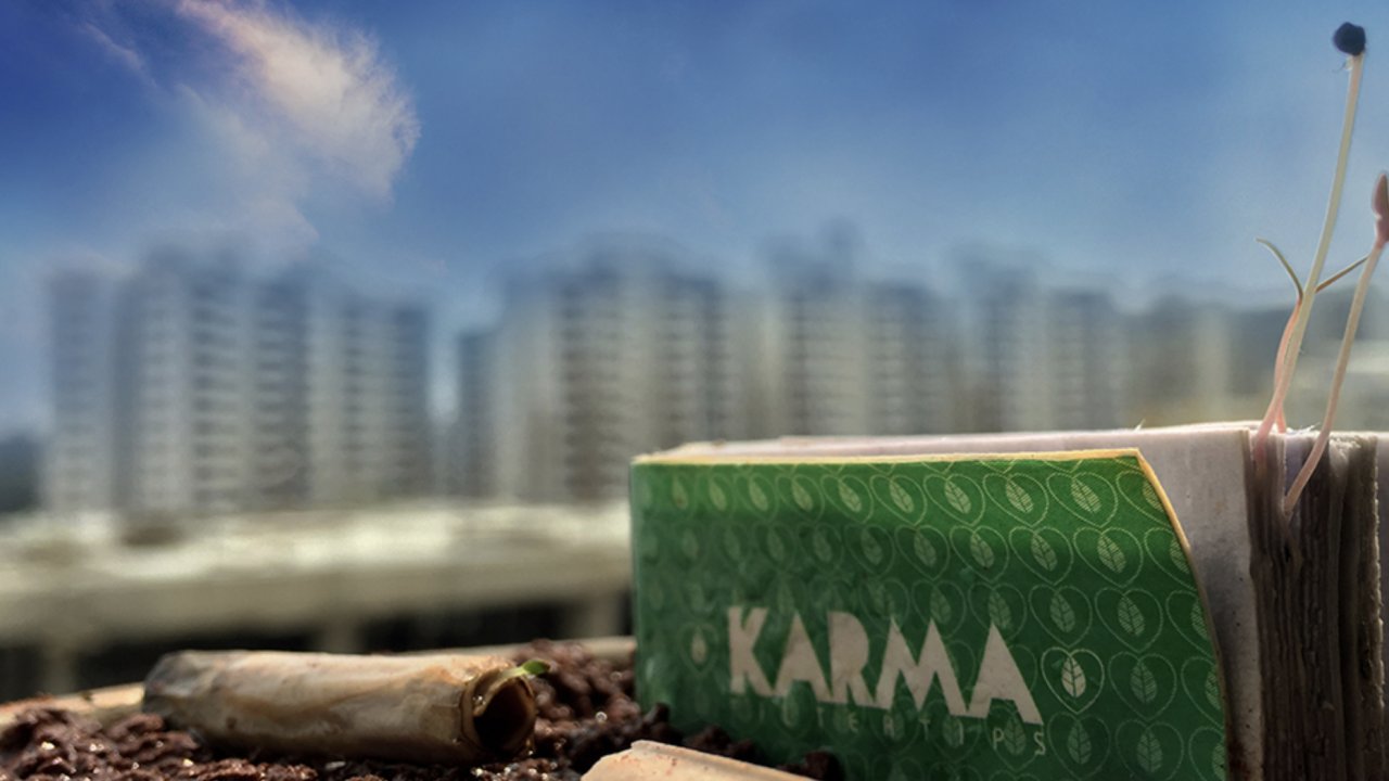 These Biodegradable Cigarette Filters Grow Into Plants BrightVibes