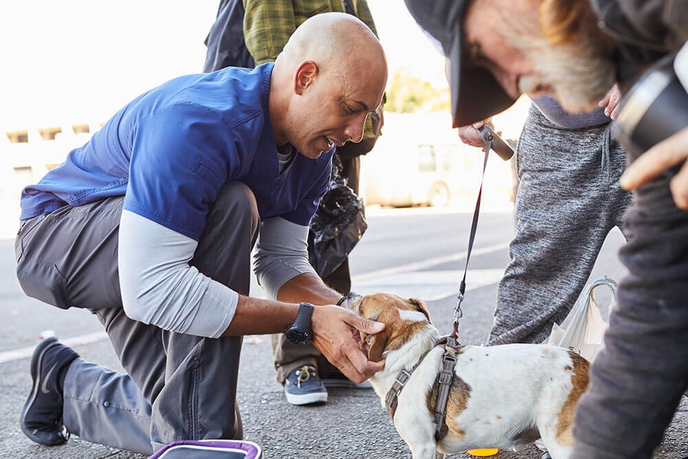 But sometimes a pet needs surgery to remove a tumor or rotting teeth. In the past, he would pay for it out of his own pocket; he is grateful to have found reduced-price care at Beverly Oaks Animal Hospital in Los Angeles. Dr. Laurie Leach, a veterinarian at the practice, has even performed some surgeries pro bono.