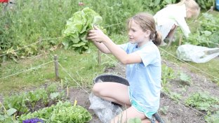 This is how Dutch kids enjoy and learn from keeping vegetable gardens