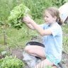 This is how Dutch kids enjoy and learn from keeping vegetable gardens