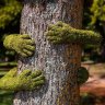 French artist grows a love of nature with his &#8216;tree hug&#8217; installation