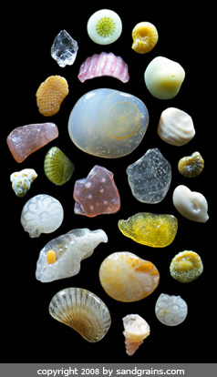 Maui sand grains arrangement shows the diversity of sand grains from a thimble-full of sand from a single beach near Lahaina.