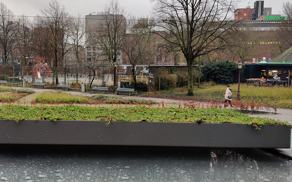 Over the course of a year, the partners will be monitoring whether the green shrubs serve their purpose as expected. If the experiment is successful, the possibility to increase their number at various locations in the city will be considered. Pictured, the roof of the tram stop.