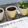 Japanese newspaper with seeds embedded sprouts flowers when planted