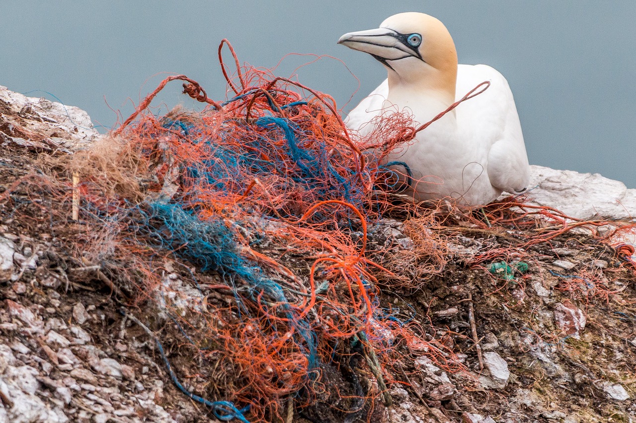 Member states will need to ensure that at least 50% of lost or abandoned fishing gear containing plastic is collected per year, with a recycling target of at least 15% by 2025.