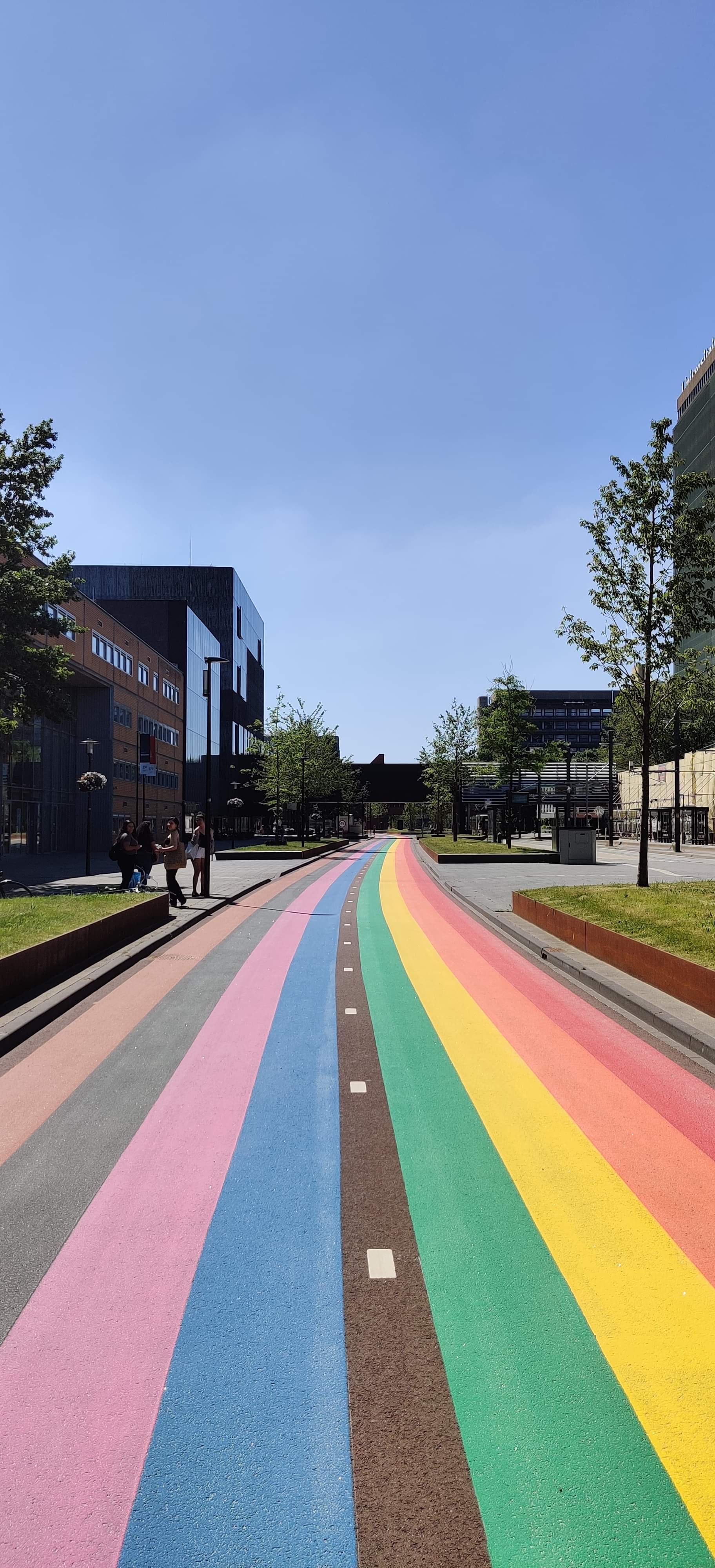 University of Applied Sciences Utrecht, Utrecht University and the UMC Utrecht have joined forces for the realisation, because they fully endorse the symbol. With the rainbow bike path the three institutions want to show that everybody is welcome to be who they are.