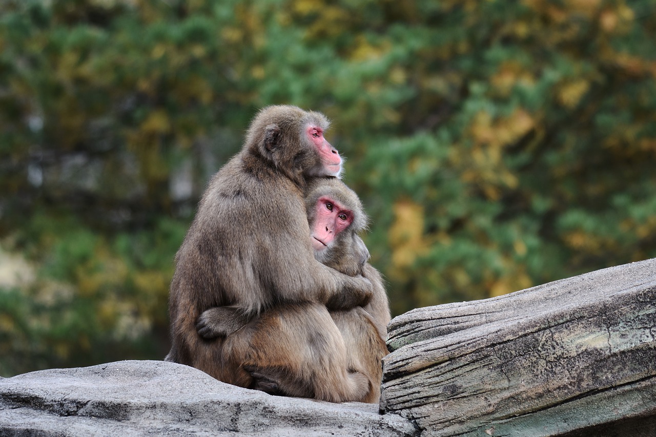 Research found that hugging helps soothe our existential fears, and helps us to embrace life.