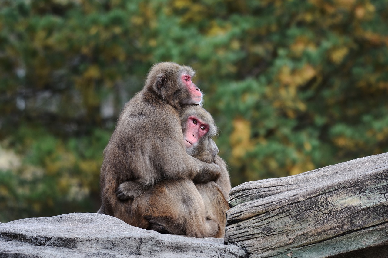 Research found that hugging helps soothe our existential fears, and helps us to embrace life.