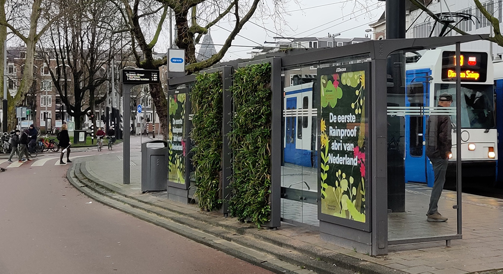 they also collect rainwater that can be reused in periods of heat when rain is scarce and provide cooling. Also, the green roofs attract all kinds of insects, such as butterflies and bees, which increases the biodiversity in the Dutch capital, according to Amsterdam city authorities.