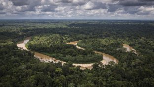 Peru to establish Indigenous reserve for “uncontacted peoples” deep in the Amazon rainforest