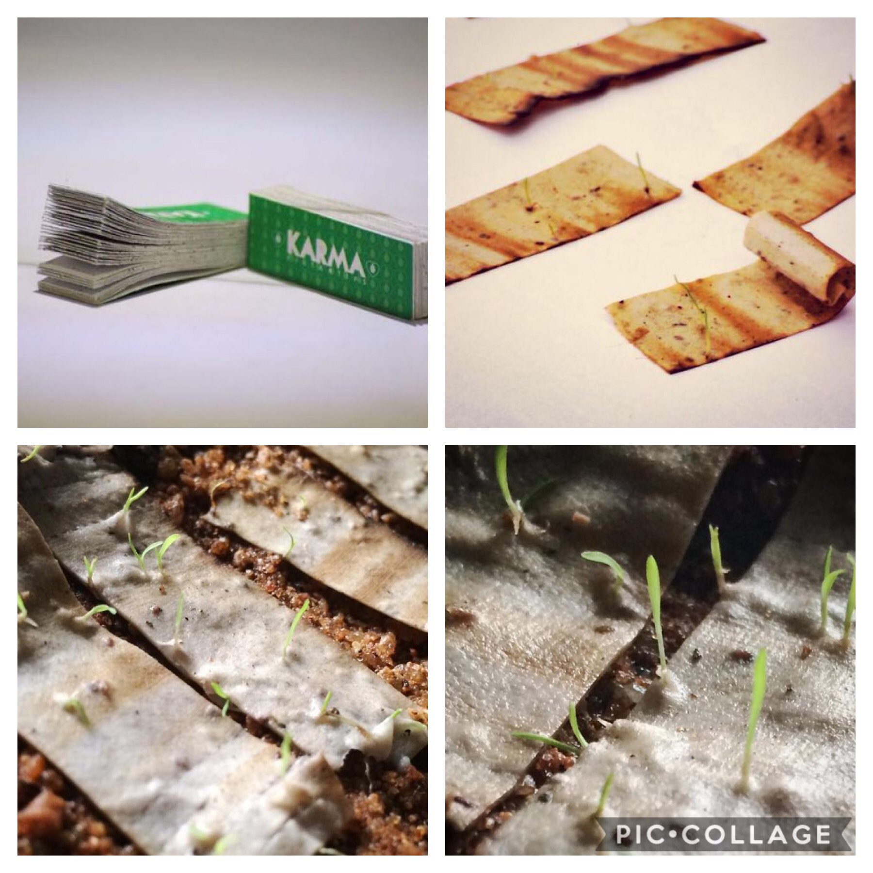 The handmade filters are 100% organic, biodegradable, and non-addictive, and are sold alongside a similarly improved book of rolling papers. When disposed of, the butt degrades in a matter of days and gives root to basil, New Zealand lawn grass, rosemary, or thyme.