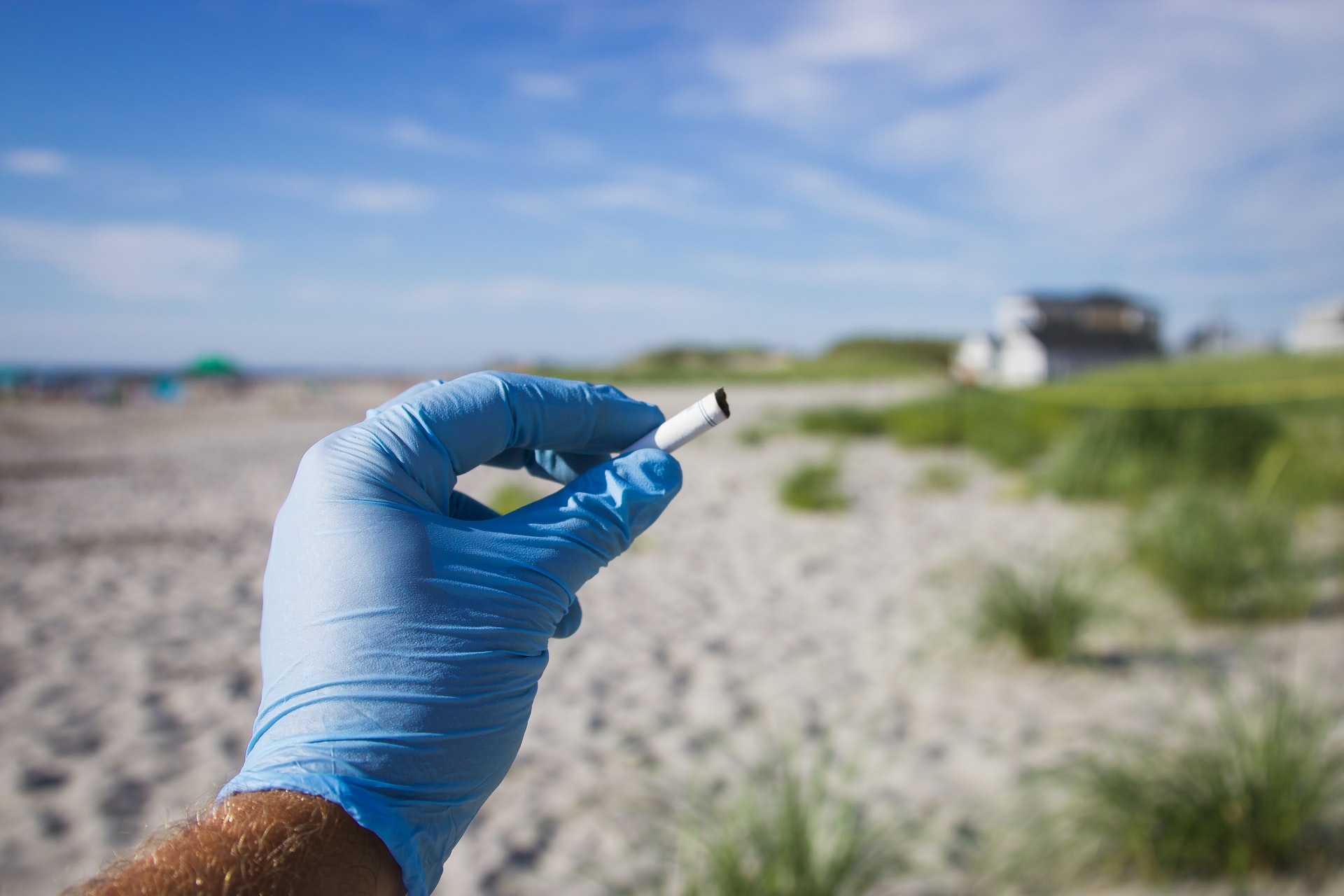 These tiny toxic butts also cause significant harm to our water sources. It is not uncommon for field researchers to find cigarette butts inside dead sea birds, sea turtles, fish and dolphins.