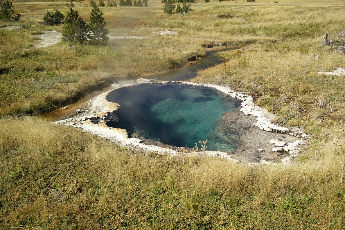 This was the first time such bacteria were collected in situ in an extreme environment like an alkaline hot spring. Temperatures in the springs ranged from about 110°F—200°F (43.3°C—93.3°C)