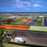 Spring has sprung in Holland’s tulip fields in a patchwork of vibrant colour