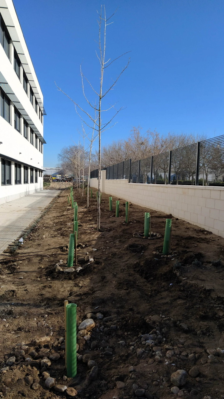 Approximately 300 students from years 1st, 2nd and 3rd of ESO have planted 130 trees and shrubs around the perimeter of the school.