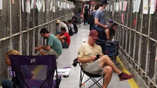 Instead of Partying on July 4th, These People Comforted Scared Shelter Animals During the Fireworks