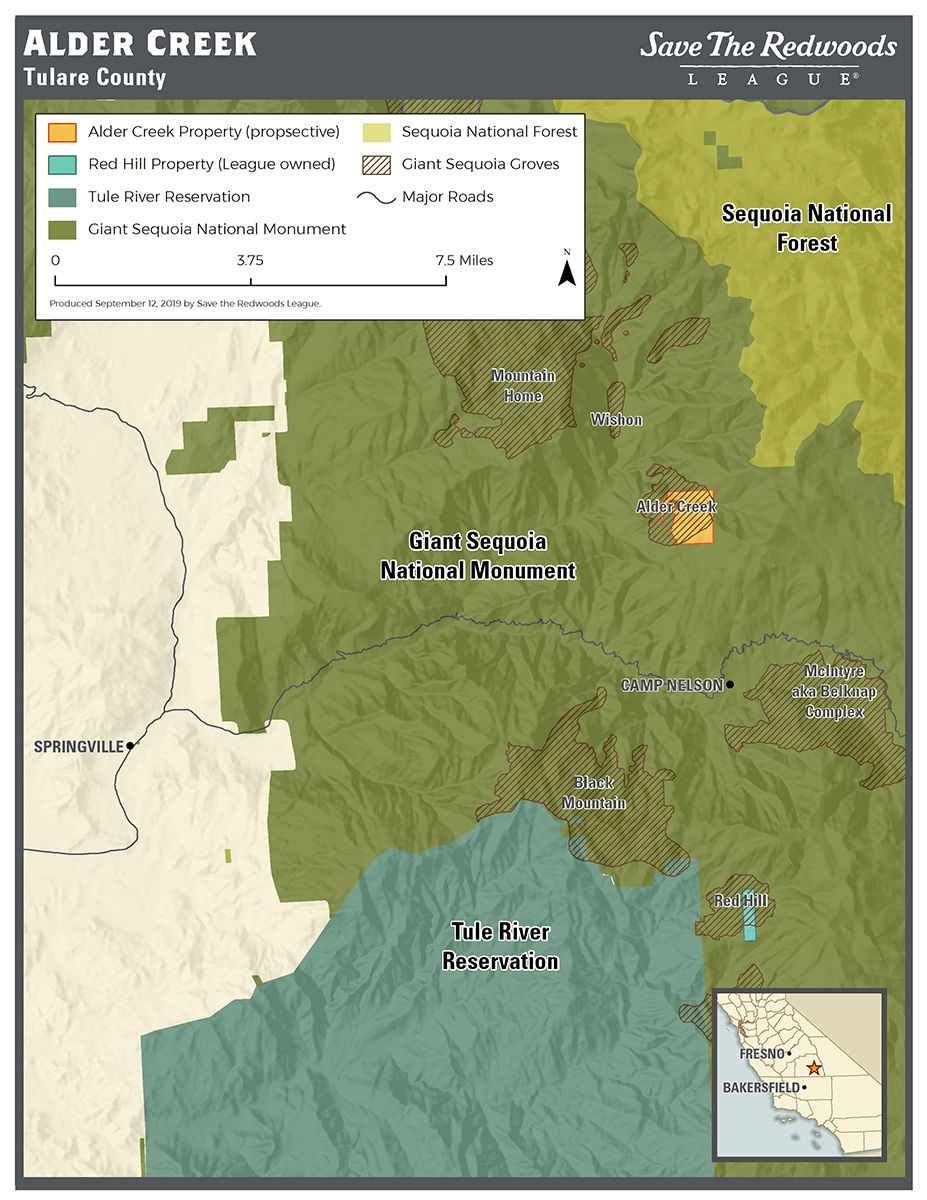 The long-term climate change trend of Sierra Nevada snowpack reduction, in combination with warmer temperatures and widespread pine, fir, and cedar tree mortality from drought and pests, is greatly increasing the risk of severe fire and threatening the giant sequoia ecosystem. The eventual transfer of Alder Creek to Giant Sequoia National Monument under U.S. Forest Service stewardship will allow this forest to be managed for its long-term survival.