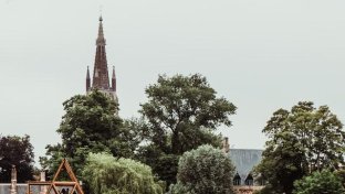 Belgian university study demonstrates connection between large urban trees and human health
