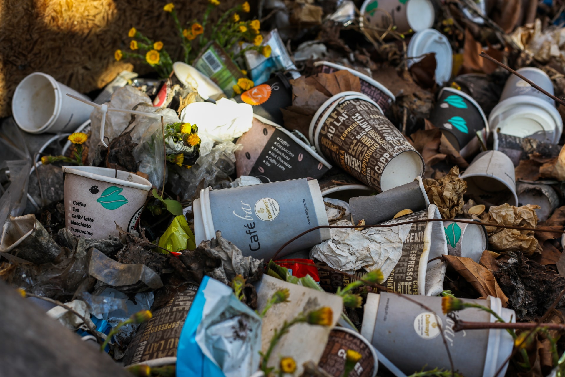 Earlier European agreements were made that the use of single-use plastic must be drastically reduced by 2026. Member States may decide for themselves how they supplement this. With these measures, Van Weyenberg expects a 40% decrease in 2026 compared to 2022.