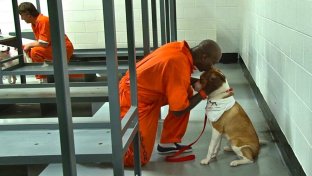 Gevangenen delen hun cel met een hond. Het effect is magisch.