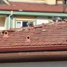 This Factory is Producing Roof Tiles That Serve As Bird Shelters