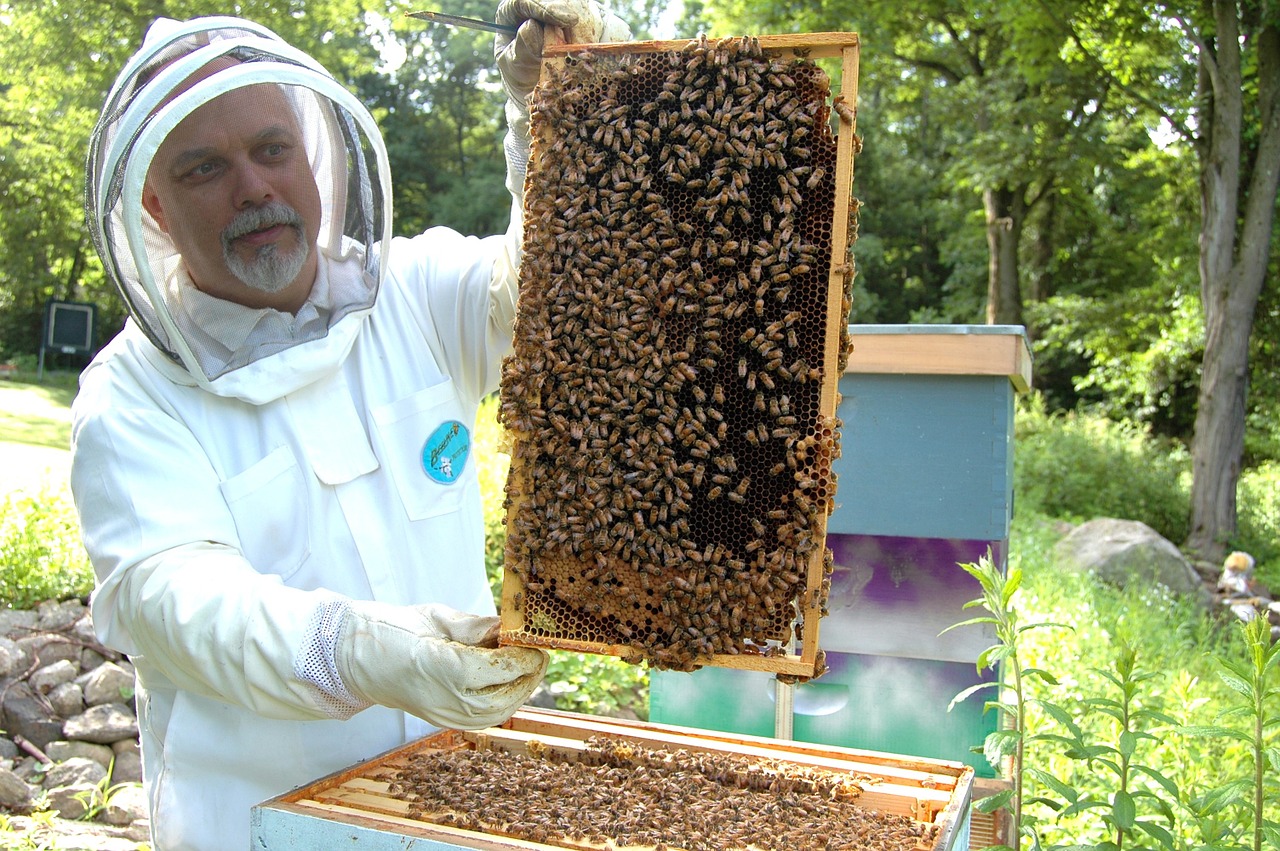 One way to directly impact the health of your local ecosystem is by starting your very own honeybee hive — not only will you get the added benefits of bee products such as raw honey and beeswax, but imagine the satisfaction and joy derived from working with a hive — Contact your local beekeeping club for more information.