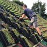 Dutch invent green roof tiles that can turn even pitched roofs into green roofs