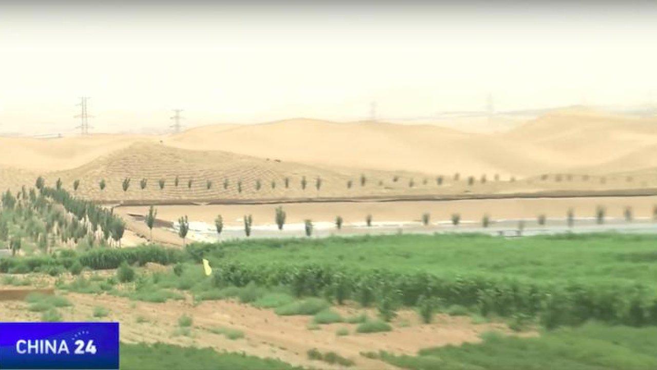 Chinese scientists have developed a revolutionary paste that transforms desert into fertile farmland