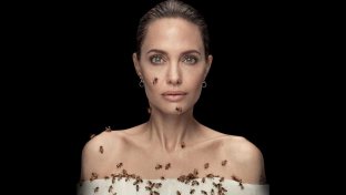 Angelina Jolie’s Bee-Covered Portrait has the internet abuzz