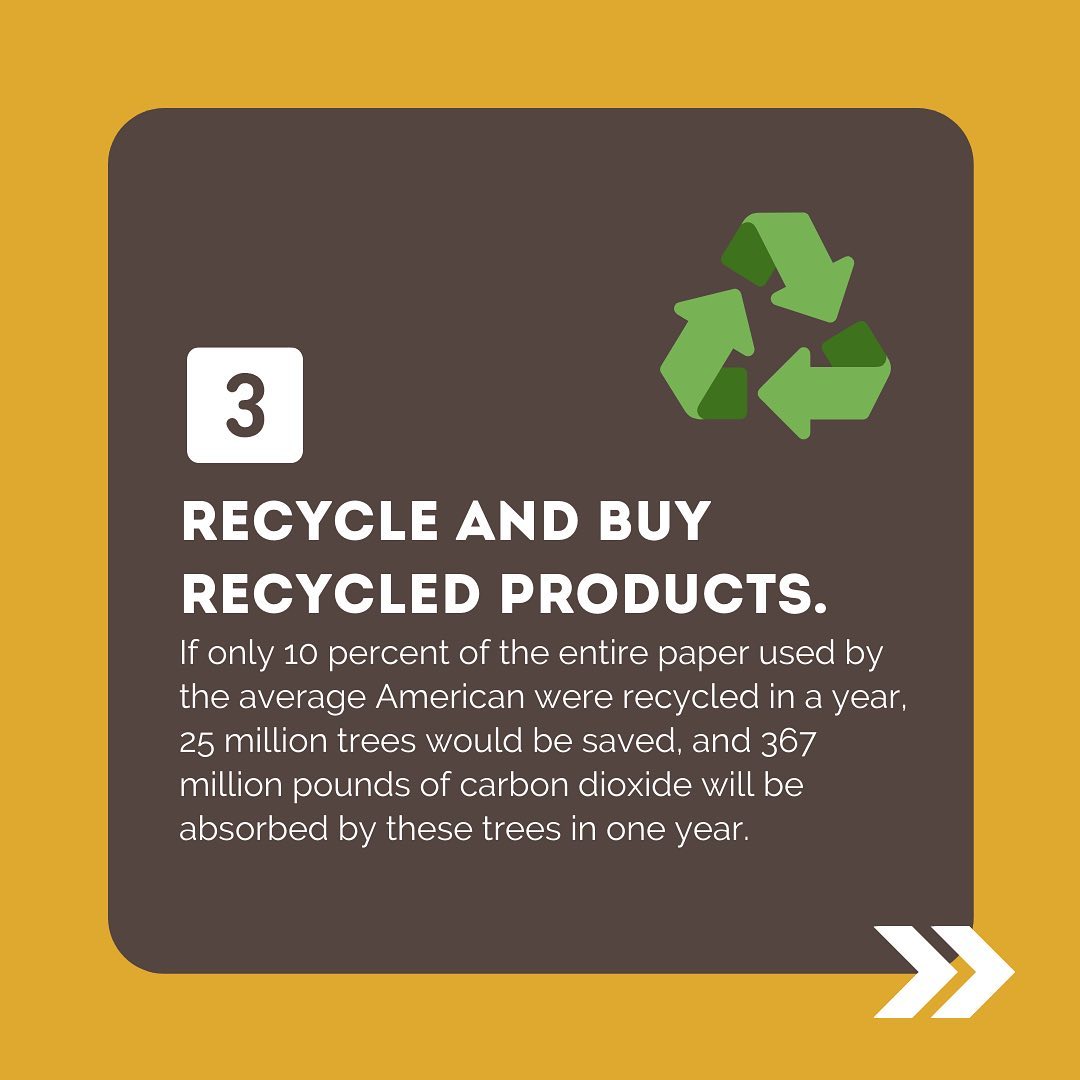 If only 10% of the entire paper used by the average American were recycled in a year, 25 million trees would be saved, and 367 million pounds (166,500 metric tonnes) of carbon dioxide will be absorbed by these trees in one year.