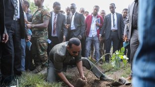 Ethiopia launches ambitious project to plant 4 billion trees to fight deforestation