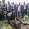 Ethiopia launches ambitious project to plant 4 billion trees to fight deforestation