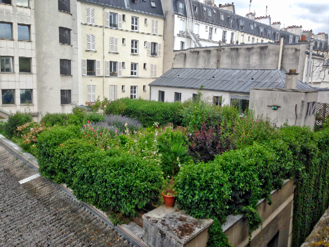 Las paredes y los techos verdes han aumentado con los nuevos desarrollos en la ciudad. Estos proyectos demuestran el compromiso de París de convertirse en una ciudad verdaderamente verde. Sin embargo, es particularmente este nuevo compromiso de capturar el espíritu y la imaginación del ciudadano medio lo que puede ser una primicia mundial.