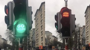 Green light means ‘GO VEGAN’: traffic lights in Brussels are encouraging citizens to ditch meat