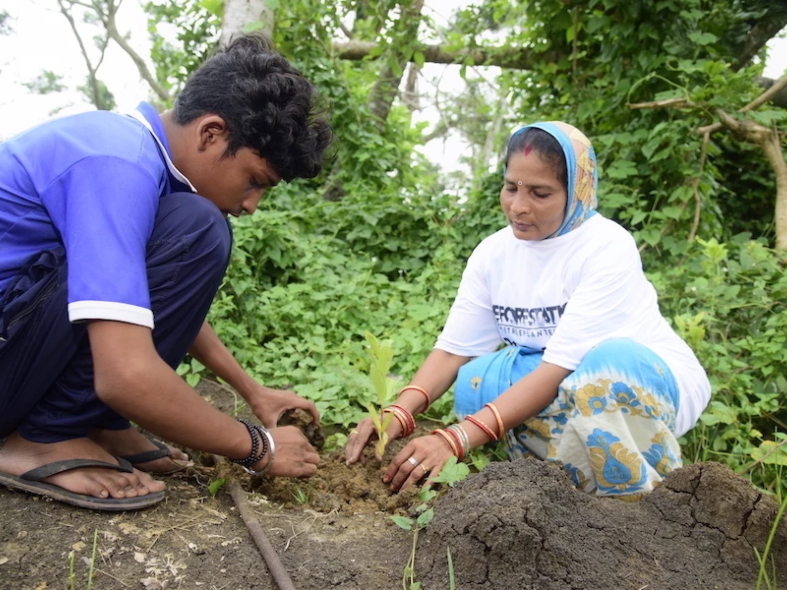 In land-based forests, organic matter like leaves and branches are quickly broken down by bacteria and fungi in the soil, releasing carbon. But since mangroves are waterlogged and have a different microbial community, organic matter isn’t broken down and the carbon stays locked up in the soils.