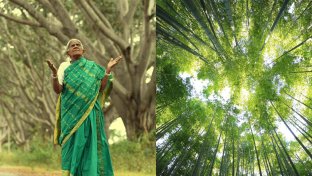 Se la conoce como la «mujer de los bosques» y ha plantado casi 10.000 árboles durante 80 años