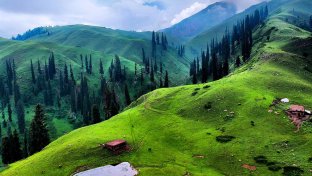 Pakistan creates 5,000 green jobs as it announces 15 national parks to protect green areas