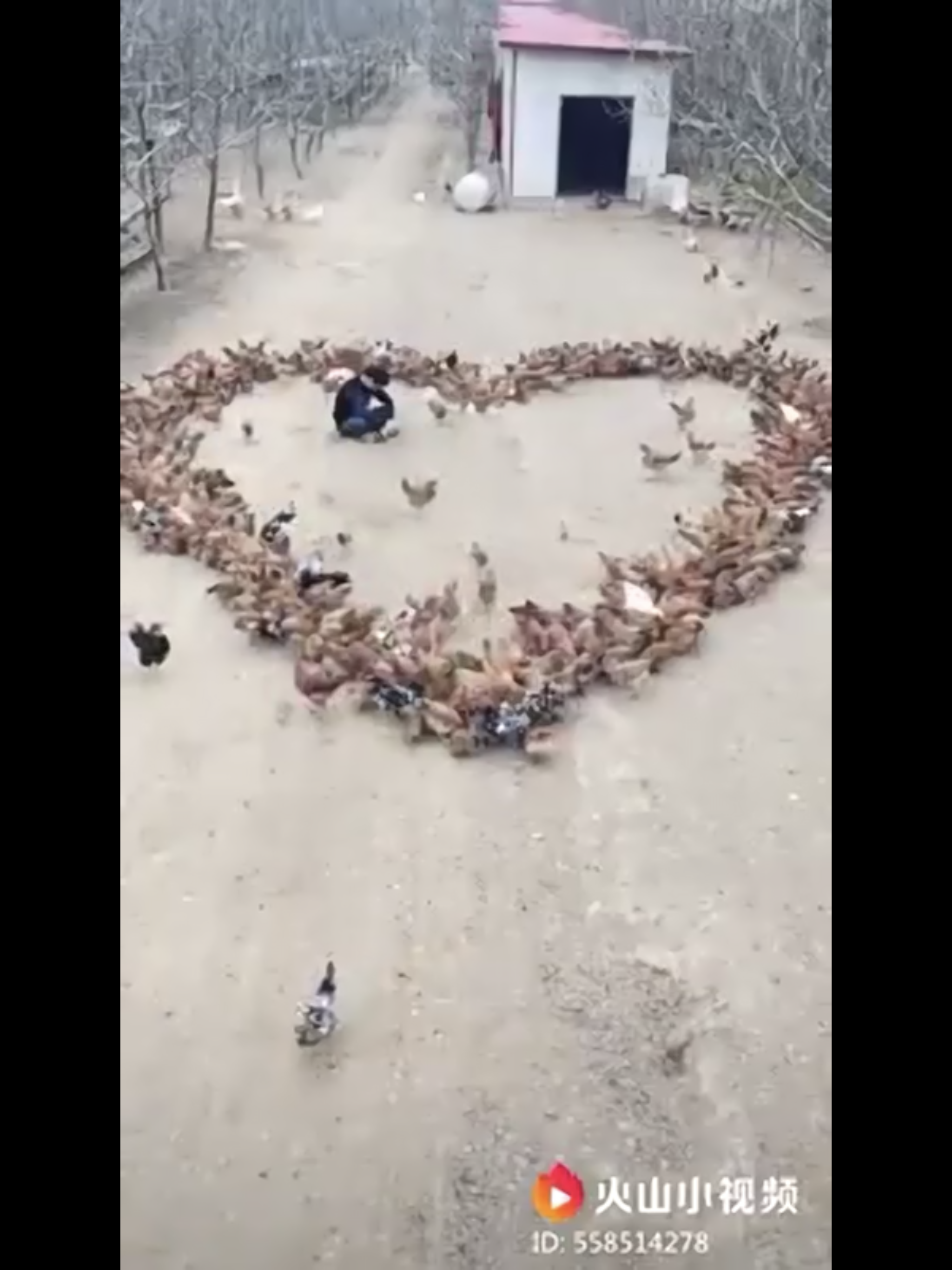 Shang said the heart shape video hit more than one million clicks after it was uploaded on a Chinese video app called Kuaishou. Let’s hope the video attracted a sweetheart for him.